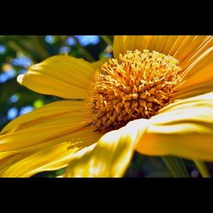 Meet your Posher, Genevieve